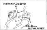 Oil drain plug cover