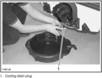 Cooling Drain Plug